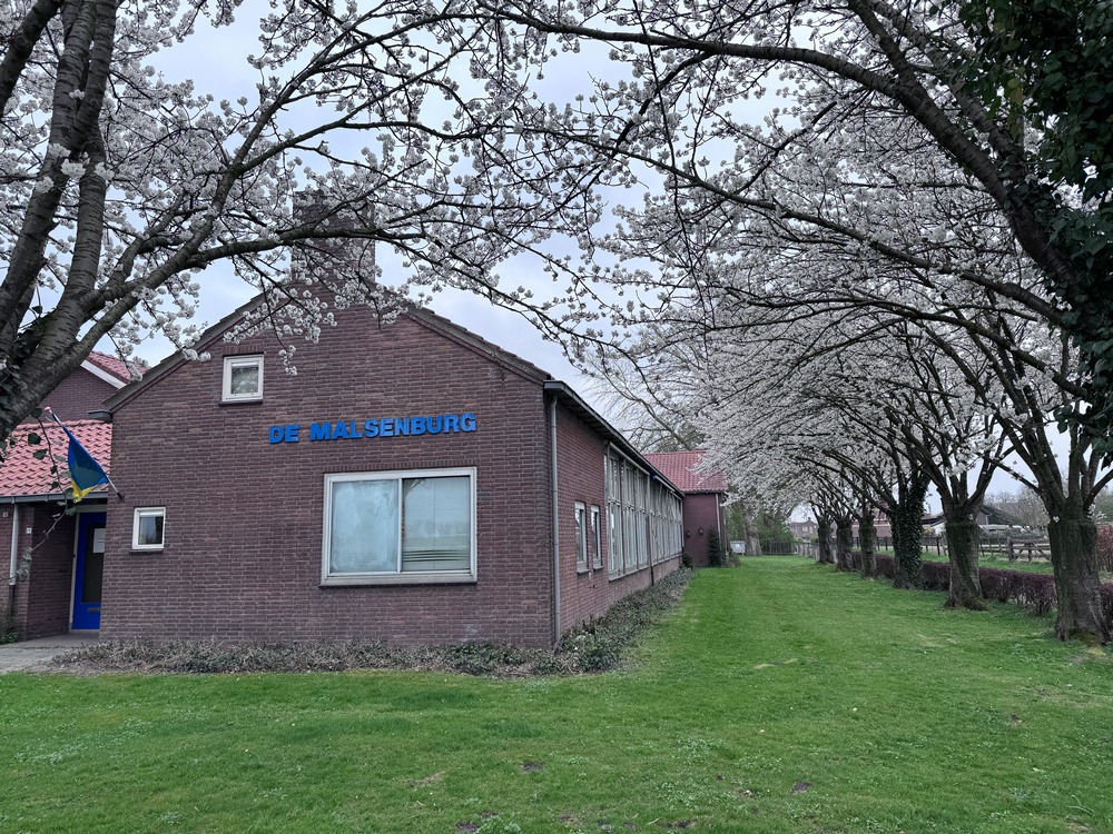 Japanse kersen in bloei bij de Malsenburg GP2021 04 04 01 lowres