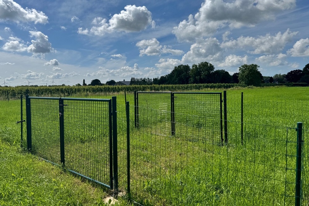 Honden losloopveld GP2026 06 29 2