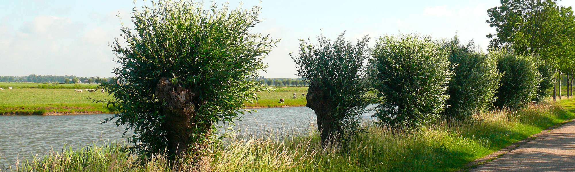 Buurmalsen 2